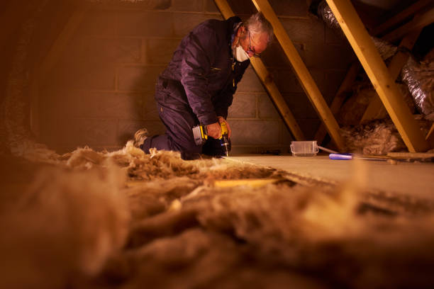 Best Attic Insulation Installation  in George, IA